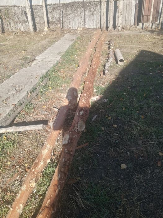 Терек 6метір 8метір