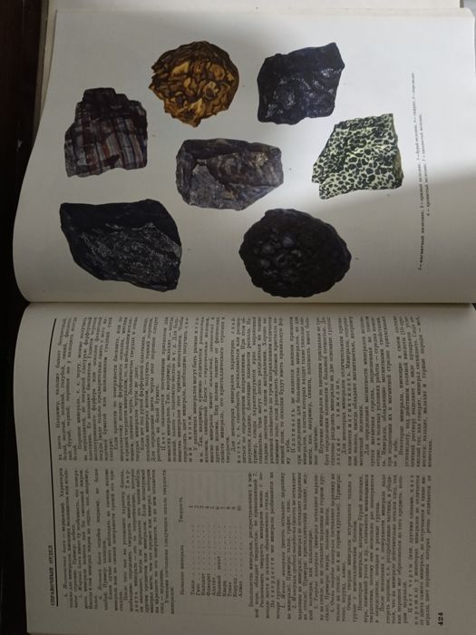 Детская энциклопедия