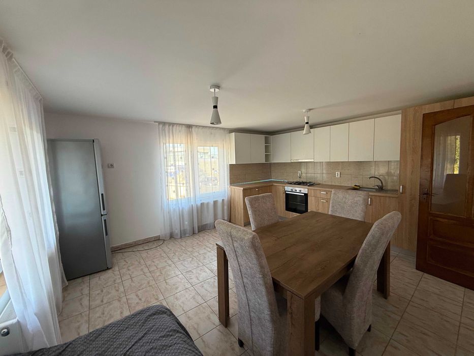 CASĂ DE INCHIRIAT CU 2 LOCUINȚE INDEPENDENTE | 236 mp utili | Teren 5.784 mp | strada Budiului