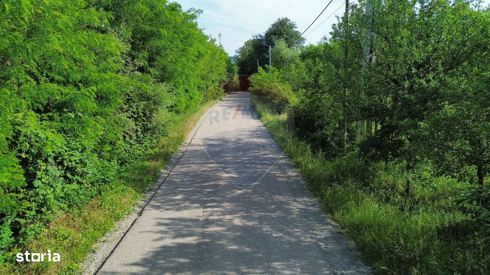 Teren intravilan 5520mp cu PANORAMA Remetea Oportunitate de Investiție
