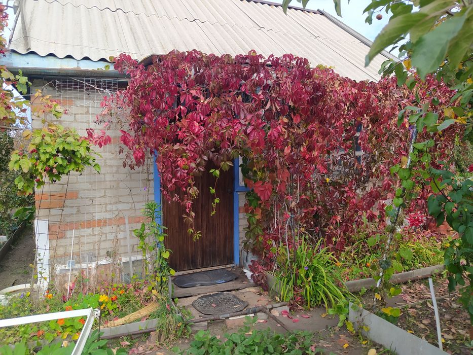 Продам дачу СО"Железобетонщик"