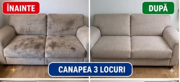 Curatare profesionista
