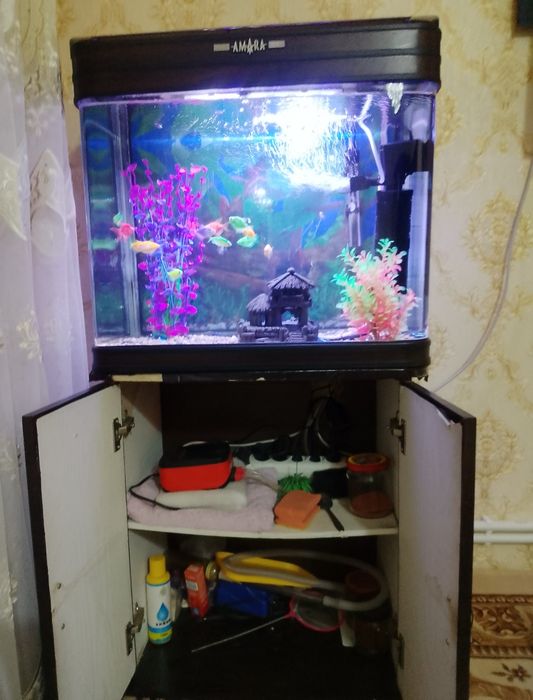 Akvaryum 80 litirli