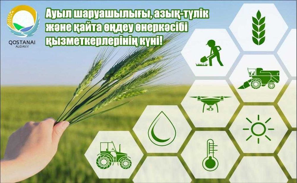 услуги Графического дизайнера