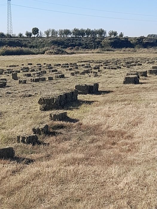 Тоза ут майда камиш прес аралаш 35000 сум