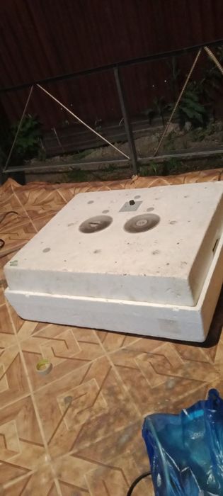 Инкубатор сатылады
