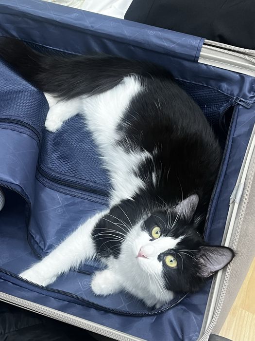 Прекрасная девочка)