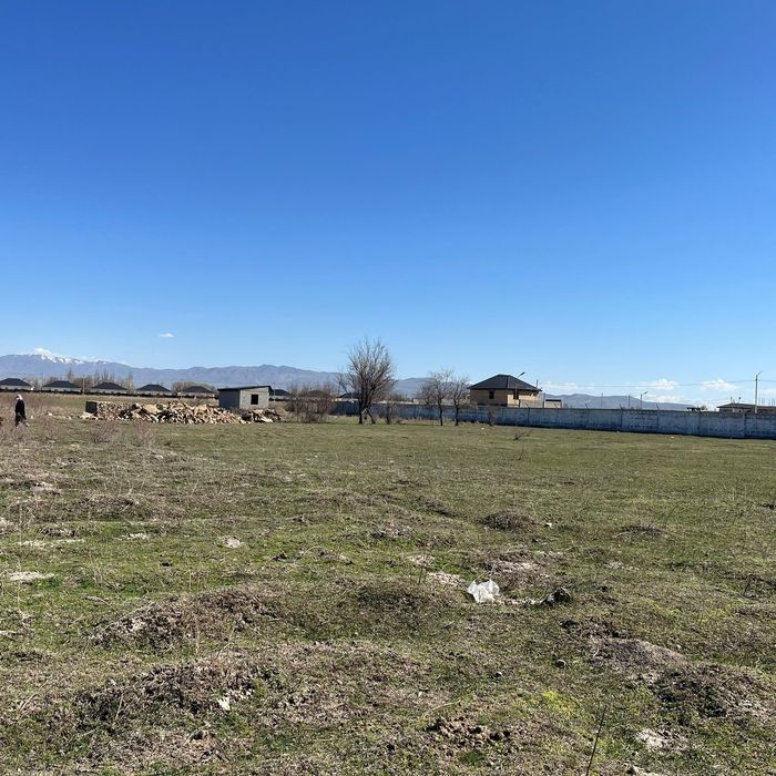 Үлгілі ауылында жер сатылады