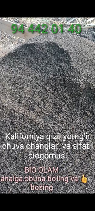 Sifatli biogomus mahsulotlari