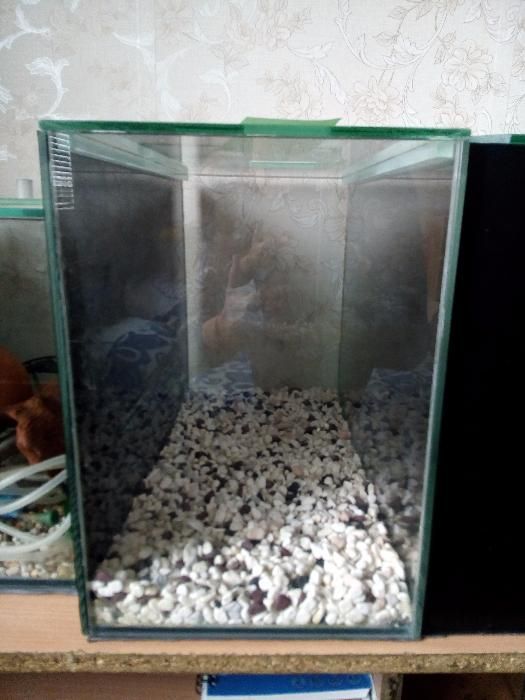 Акваруиум от кантирано стъкло