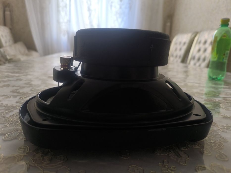 Pioneer Chempion