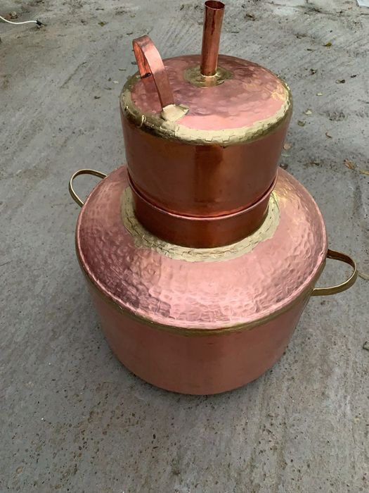 Cinfectionqm cazane pe cimanda