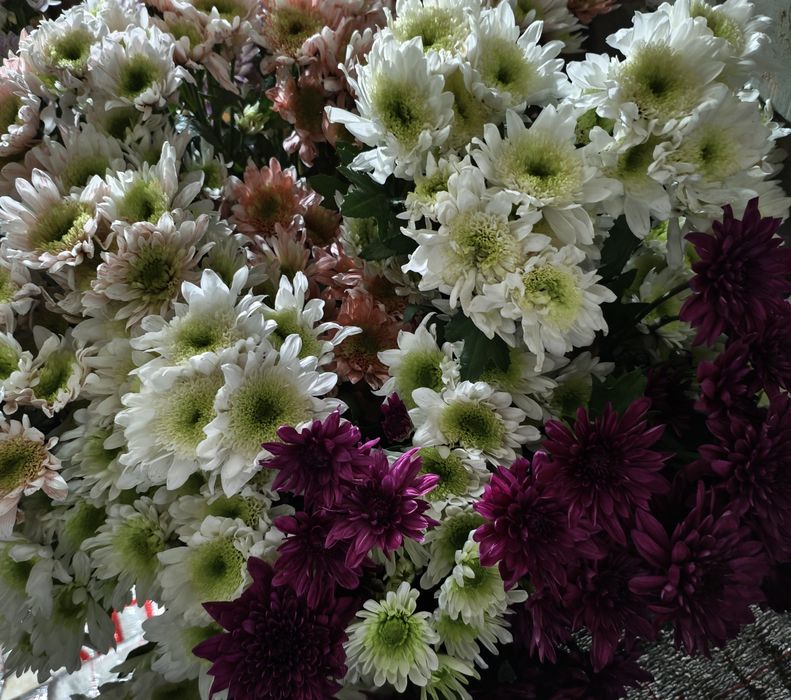 Букет хризантема цветы