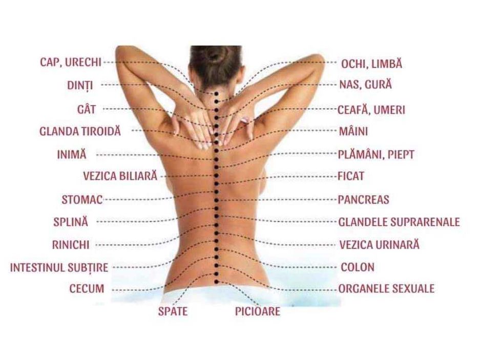 Masaj Terapeutic -Reflexoterapie Ventuze Relaxare