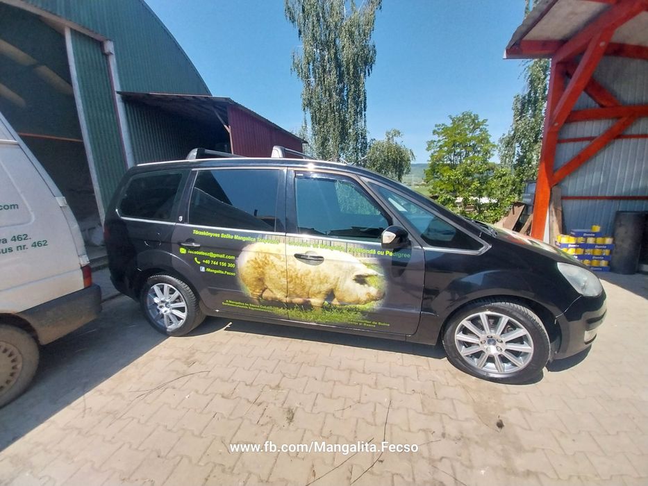 FORD Galaxy 2008 — imagine 4