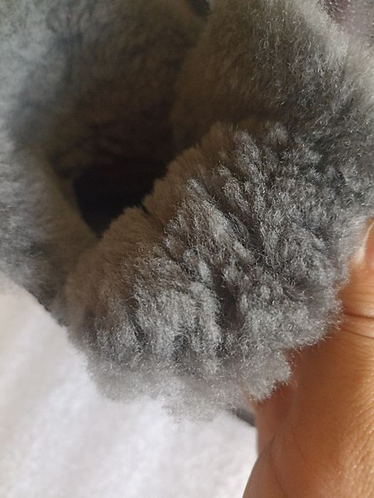 Продам сапоги зимние