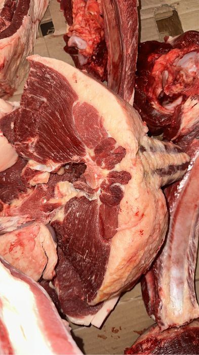 Конина мясо Ет тай Байтал