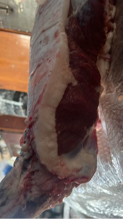 Мясо конины жирные