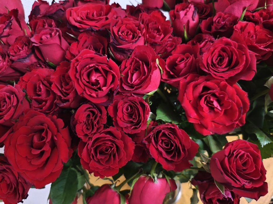 Продам букет красных роз