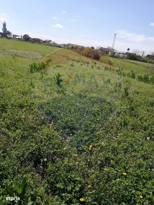 De vânzare teren intravilan, 6574 mp în Leș