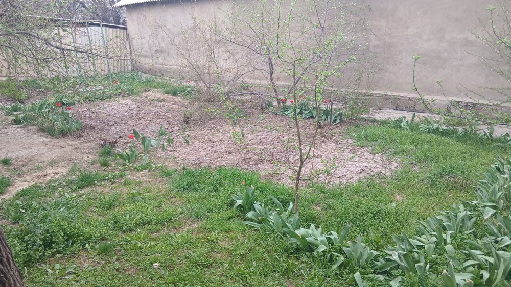 Продается дом , үй сатылады