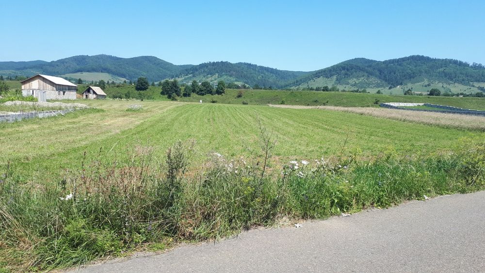 Teren de vanzare 7800 mp(2 parcele alaturate)