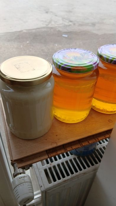 Miere de rapita si poliflora