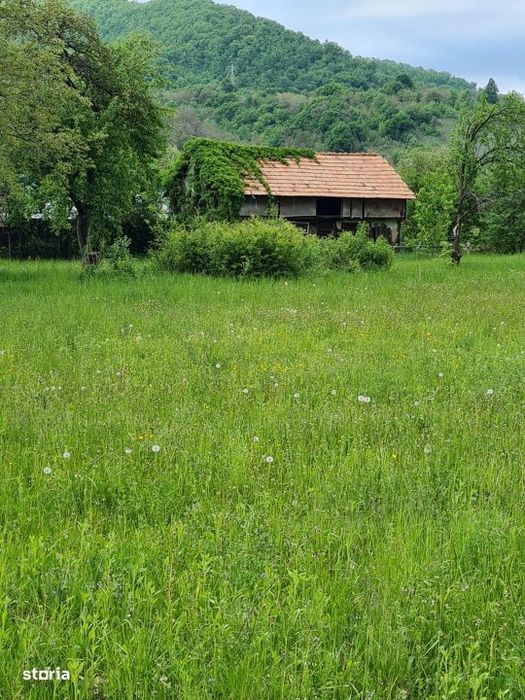 Teren splendid Vaduri cu utilitati si vecini de calitate