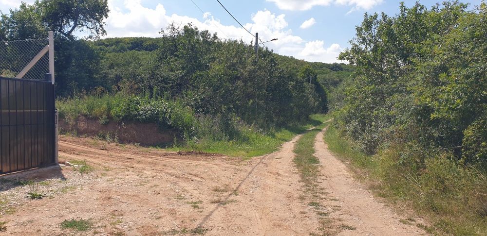 PF vand 1000 mp intravilan la 20 min de Cluj, 27000 eu
