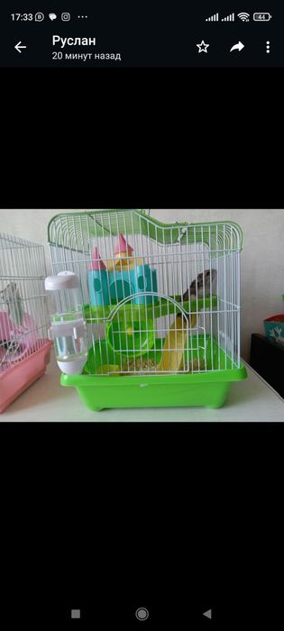 милые Джунгарики