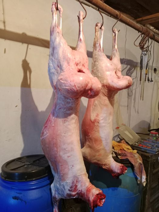 Кой еті, туша баранина
