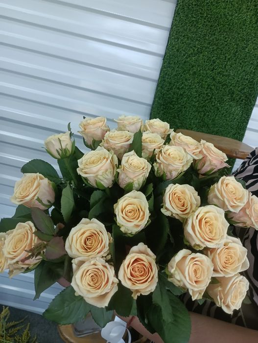 Розы по акции от производителя.