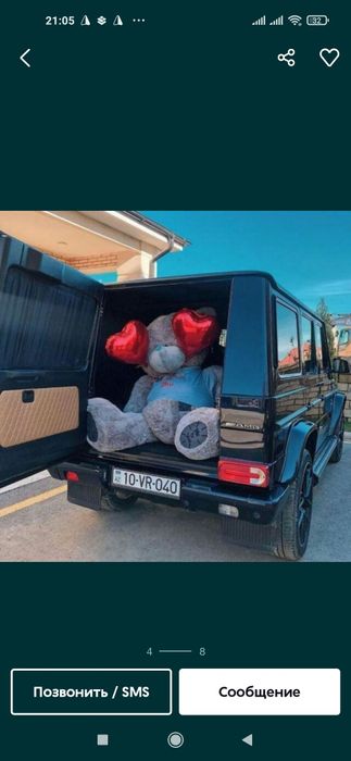 Тедди Teddy Teddi Teddiy по, Оптовым цена Teddy ayig'i original Mishka