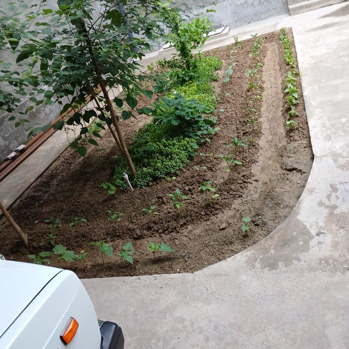 учаска сотилади янги тошми тарафта