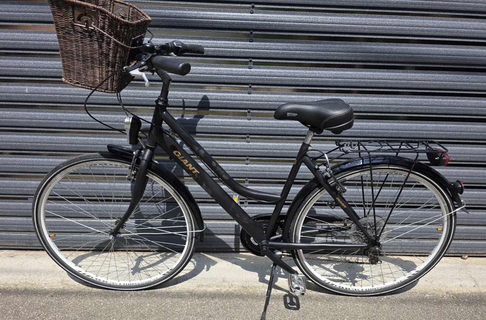 CityBike Giant roti 28" cadru de dama