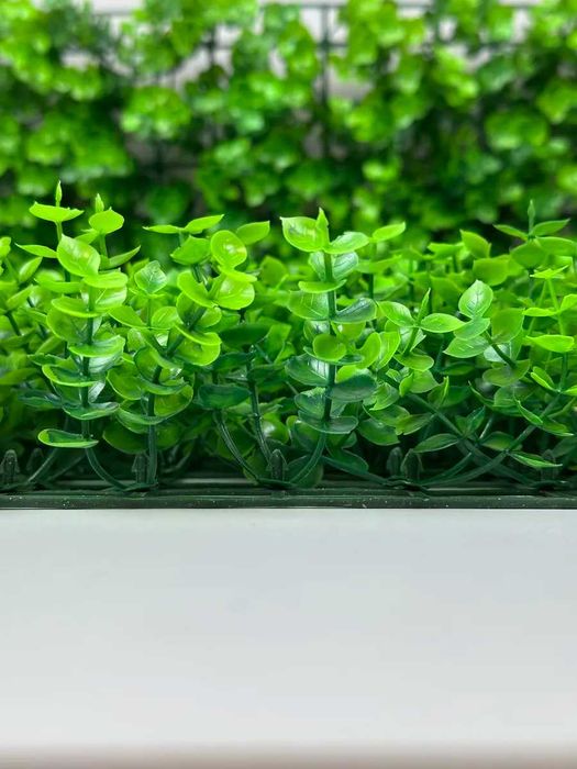 Декор для дома и офиса | Фитостена