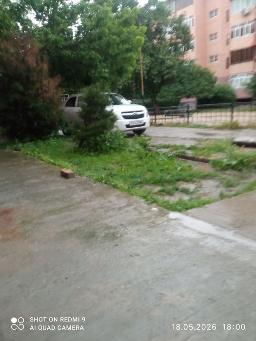 Kobalt mashinasi sotaman