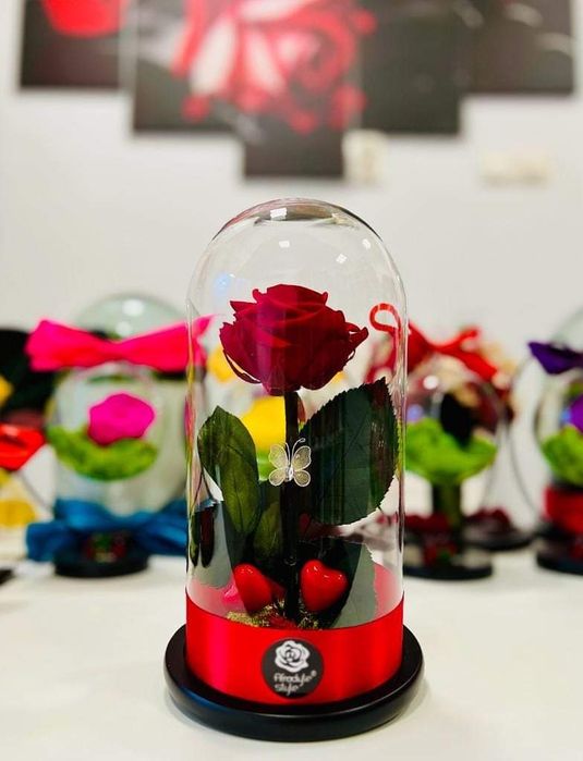 Aranjamente trandafiri criogenati