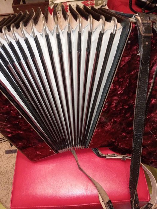 Vând Acordeon copii Weltmeister