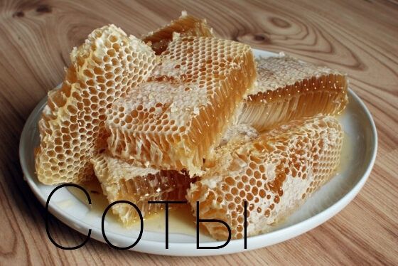 Мёд и продукты Пчеловодства