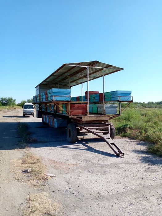 Asalari pritsepi sotiladi asal Ari oilasi bilan pritsepda 64 yashig