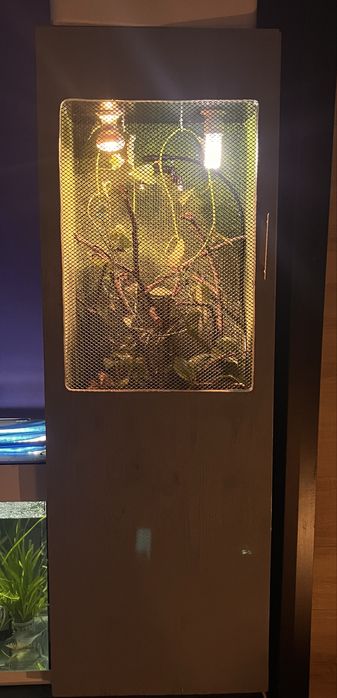 Vand terariu complet + pereche cameleoni