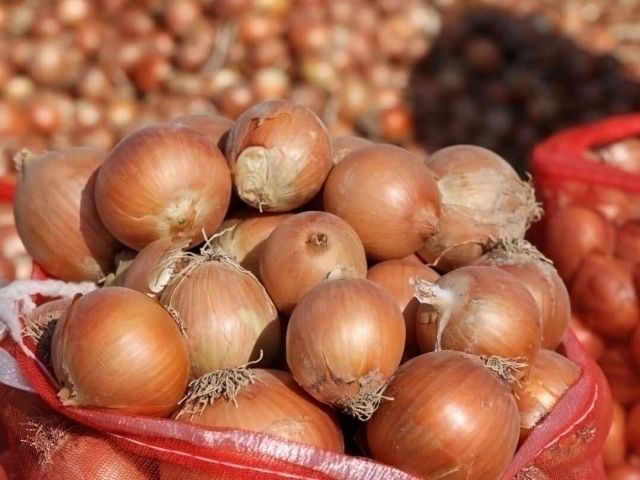 Optom narxlarda piyoz sotiladi 500 tonna bor