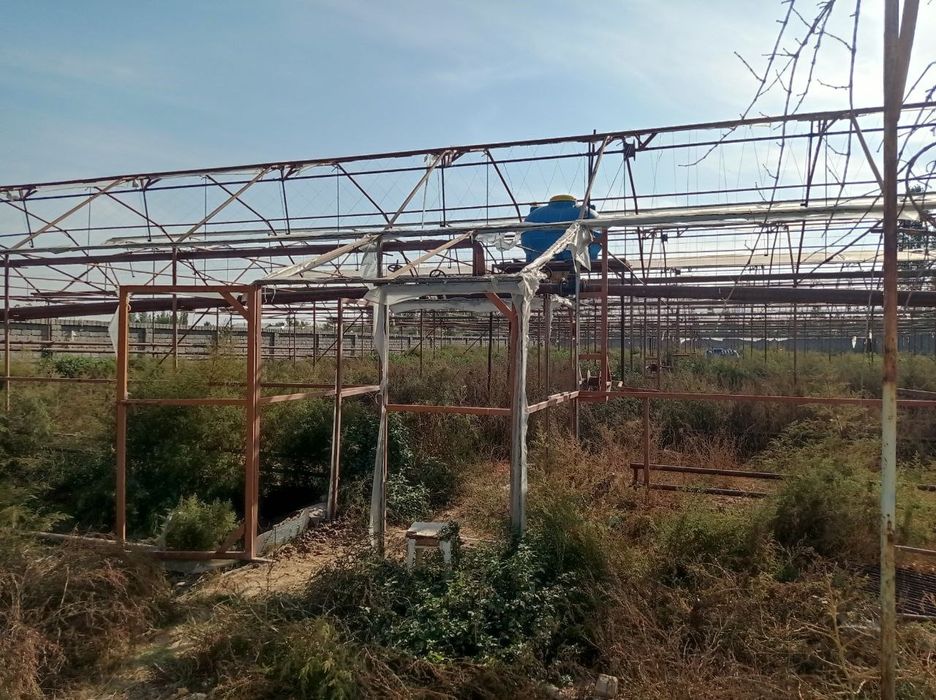 30 соток из них 20 соток теплица в  район Янгийул туман Халкабад