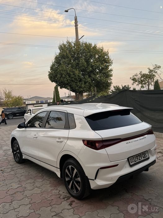 Byd e2 luxury tok