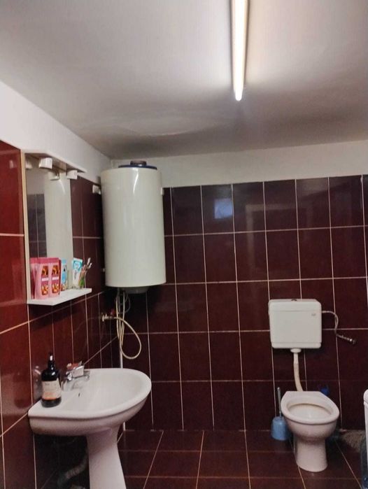 Casa de vanzare in Cosarii