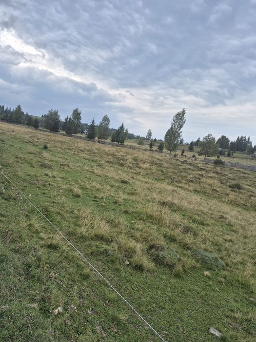 Teren de vânzare, pe Delut, Fundu Moldovei, Suceava