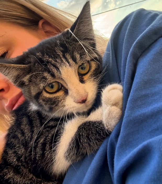 Ласковый Котенок, мальчик