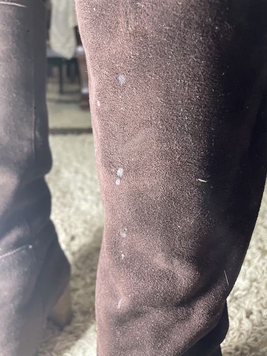 Продам женские сапоги