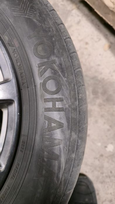 Продам диски с ризиной